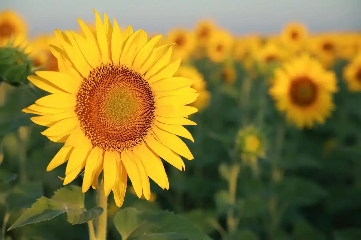 永远积极向上,永远热泪盈眶,永远豪情满怀,永远坦坦荡
