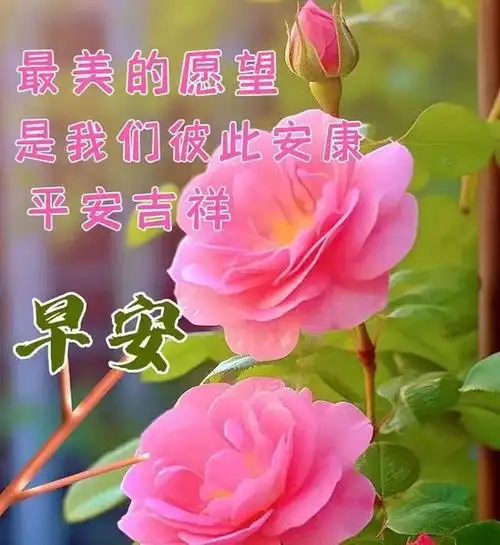 2023年11月4早安心语,正能量早晨祝福问候语,早上好图片