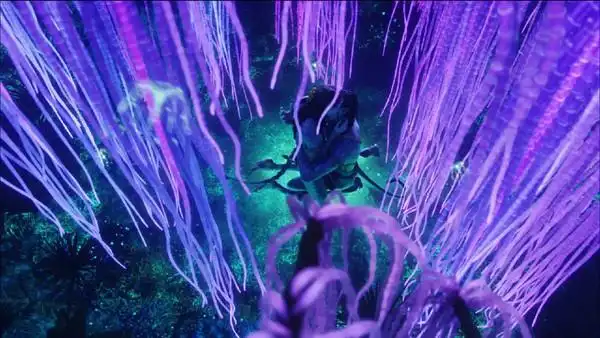 占地1000平方 "生命树",再现魔幻阿凡达世界