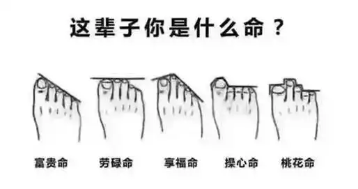 看脚趾就知道你这辈子是什么命
