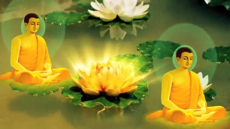 释迦牟尼佛金莲花白莲花池水佛光_1920x1080_高清视频素材下载(编号