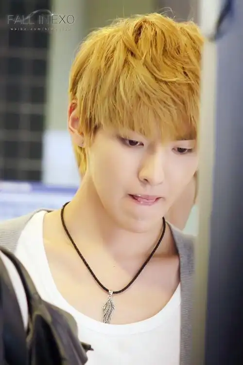 exom中教主的头发颜色都有什么?越清楚越好,带图最好昂.亲.