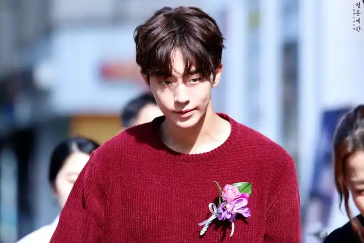 南柱赫-堆糖,美好生活研究所