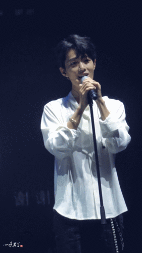 肖战 演唱会 爱豆