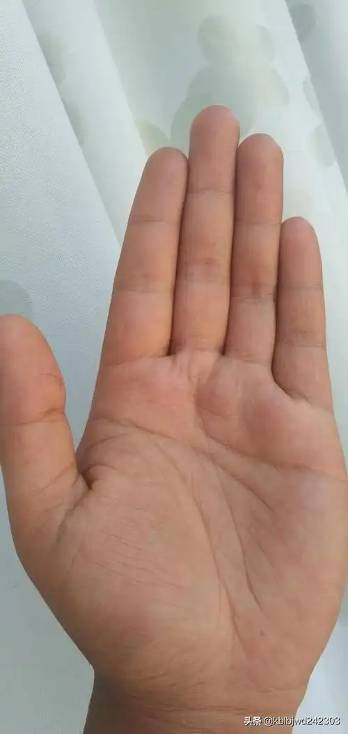 有这九大手相标志的人必定成为亿万富翁一生富贵