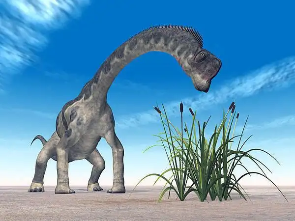 恐龙图片_图片大全