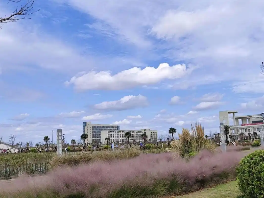 南通大学杏林学院 学校环境没得说 本校学姐在线答疑来啦.