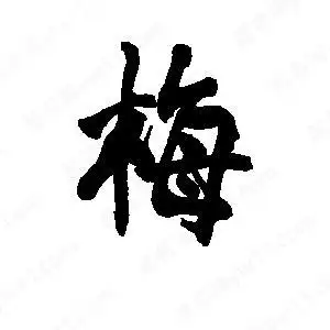 梅字的笔画-梅的笔顺怎么写-查典