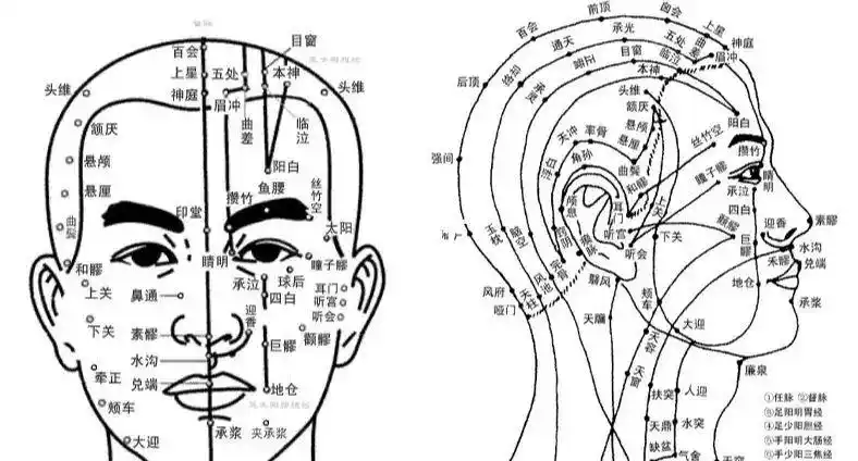 面部常用的美容经络穴位