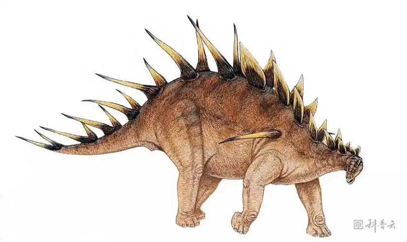 有身上长刺的恐龙吗