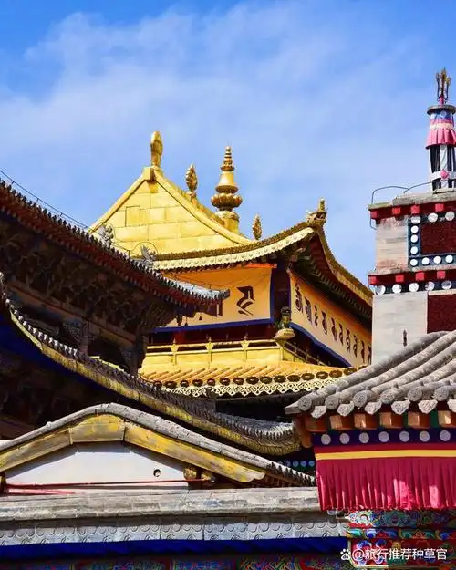 占地面积40万平方米,塔尔寺是由大金瓦寺,小金瓦寺,大经堂,大厨房