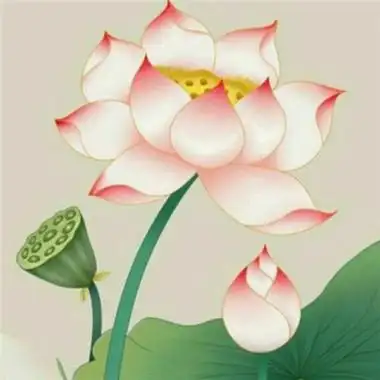 修行人静心修心莲花淡雅禅意图片头像(精选24张)