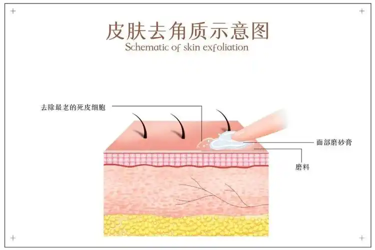 如何去角质才能不伤害皮肤