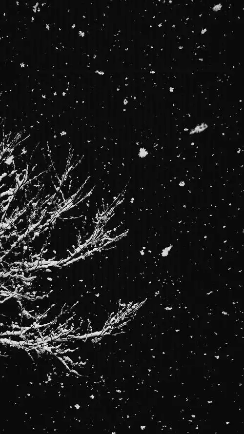 15张通过黑白提升逼格的照片