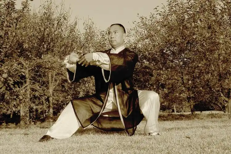 陈氏太极拳用武要言陈长兴_战斗