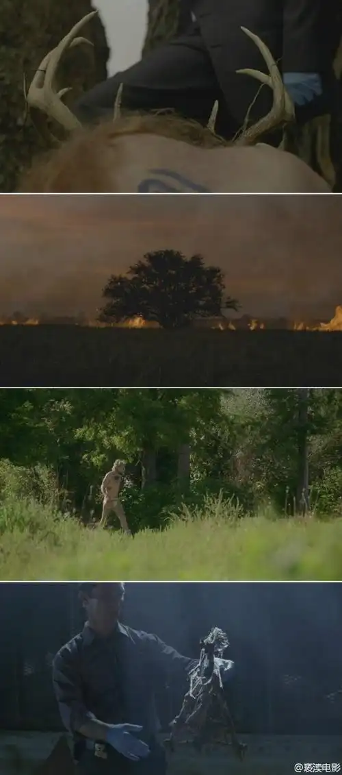 真探第一季亮点真探第一季开车时间真探第一季壁纸真探露点真探第一季