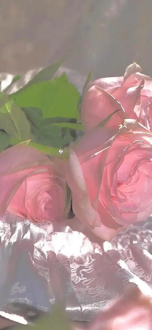 2021最潮手机壁纸最流行好看的女生iphone锁屏壁纸高清