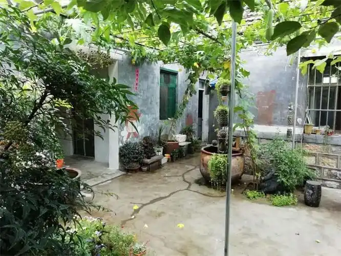 美丽庭院风采展播晒晒薛城区周营镇农家庭院