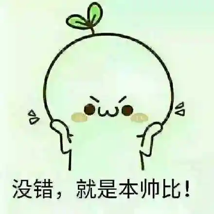 没错,就是本帅比_本帅_没错_就是表情