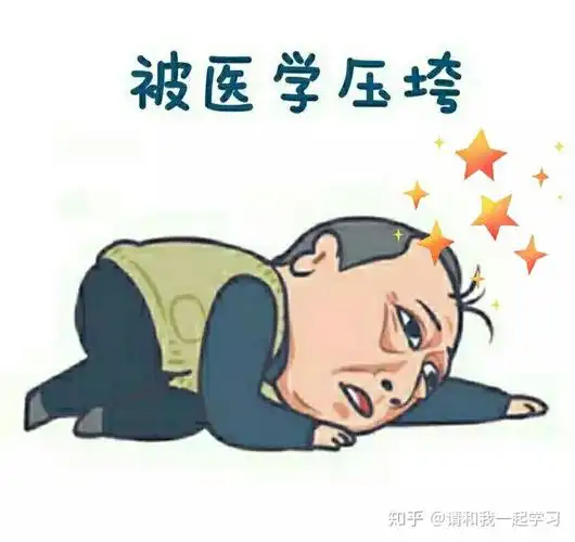 有哪些有趣的医学生专用的沙雕表情包