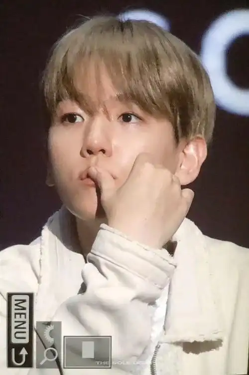 边伯贤生图状态