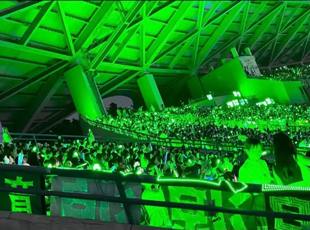 源源的演唱会已经可以外卖进场了嘛#绿海 #王源 - 抖音