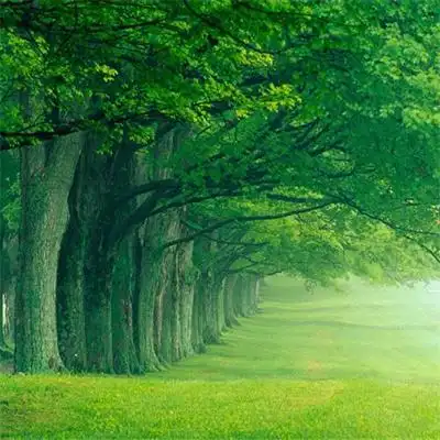 唯美风景头像_风景静物头像_我要个性网