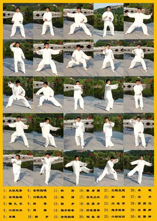 老架一路的拳谱照