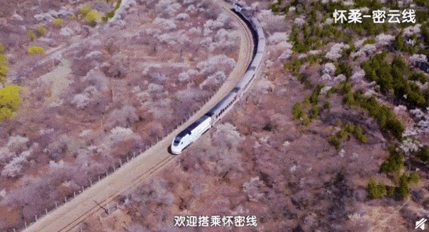 605_327gif 动态图 动图