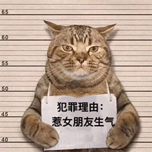 抖音沙雕带字搞笑表情包