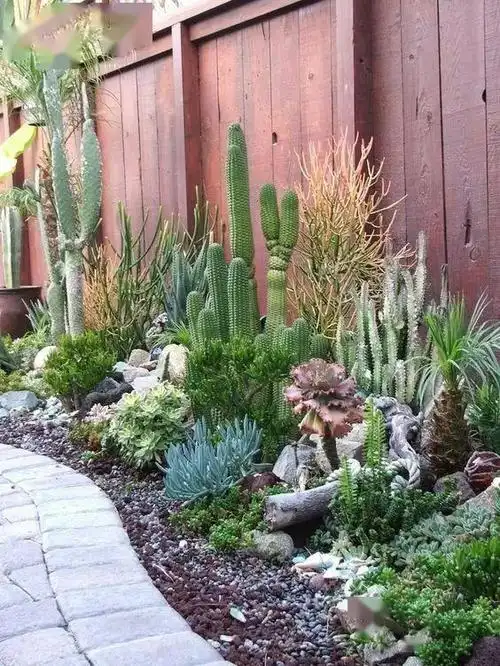 有一个院子,一定要种满多肉_庭院