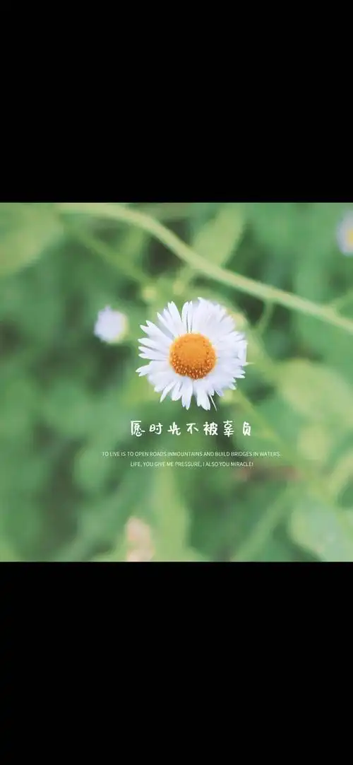 抖音热图,伤感文字壁纸《风景》锁屏壁纸