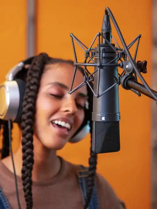 neumann诺音tlm102u87ai录音电容麦克风配音直播话筒话筒