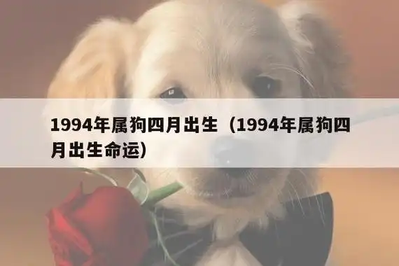 1994年属狗四月出生(1994年属狗四月出生命运)_十二生肖网