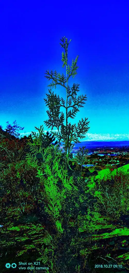 随拍大自然的风景