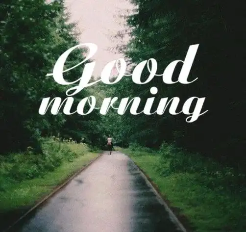 早上好图片大全唯美英文今日最新你的腿予我我的眼赠你