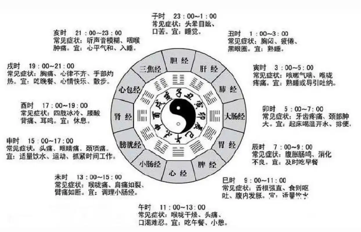 十二时辰对应五脏六腑养生表