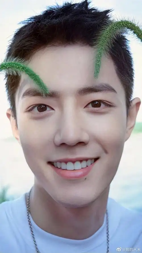 肖战先生请以后都这样明媚的笑着吧