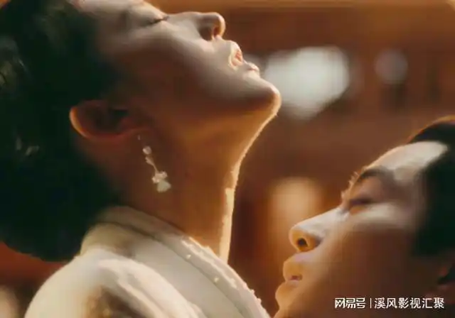 刘亦菲|陈晓_网易订阅