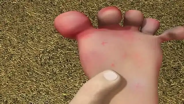 熊出没:光头强的脚真的是太臭了,熊大的表情也太搞笑了