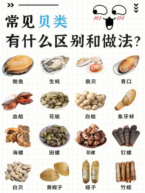 常见贝类再也不用担心叫错它们名字了