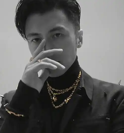 谢霆锋上海红毯造型翻车双手揣兜穿10cm高跟鞋被误认成李咏