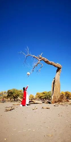 三千年的守候 只为等你的到来