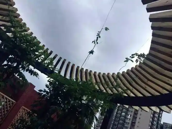 校园名片 | 探访《小别离》拍摄地,这所有着110年历史的中学为何屡屡