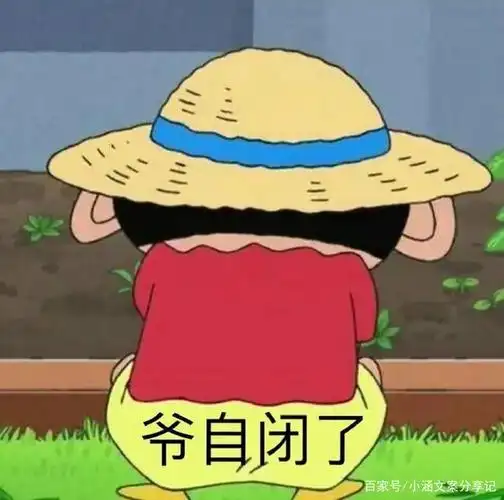 朋友圈搞笑文案和表情包分享3