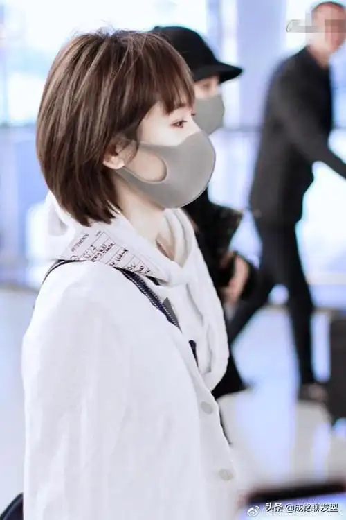 王子文短发造型图片(盘点她最经典的五款发型)(4)