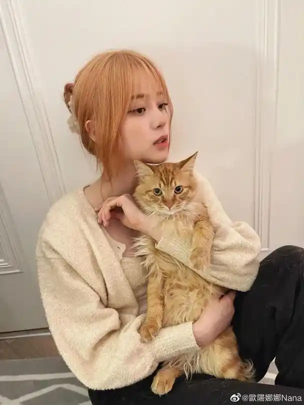 云南歌手小娜娜的个人资料