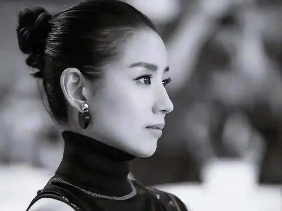 董洁的鼻子在女明星当中算是比较好看的了,而整个五官也都非常的独特