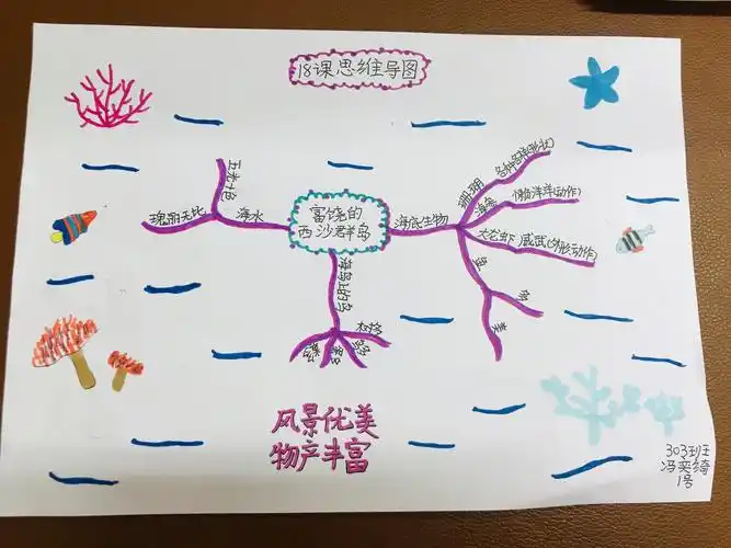《18富饶的西沙群岛》优秀思维导图