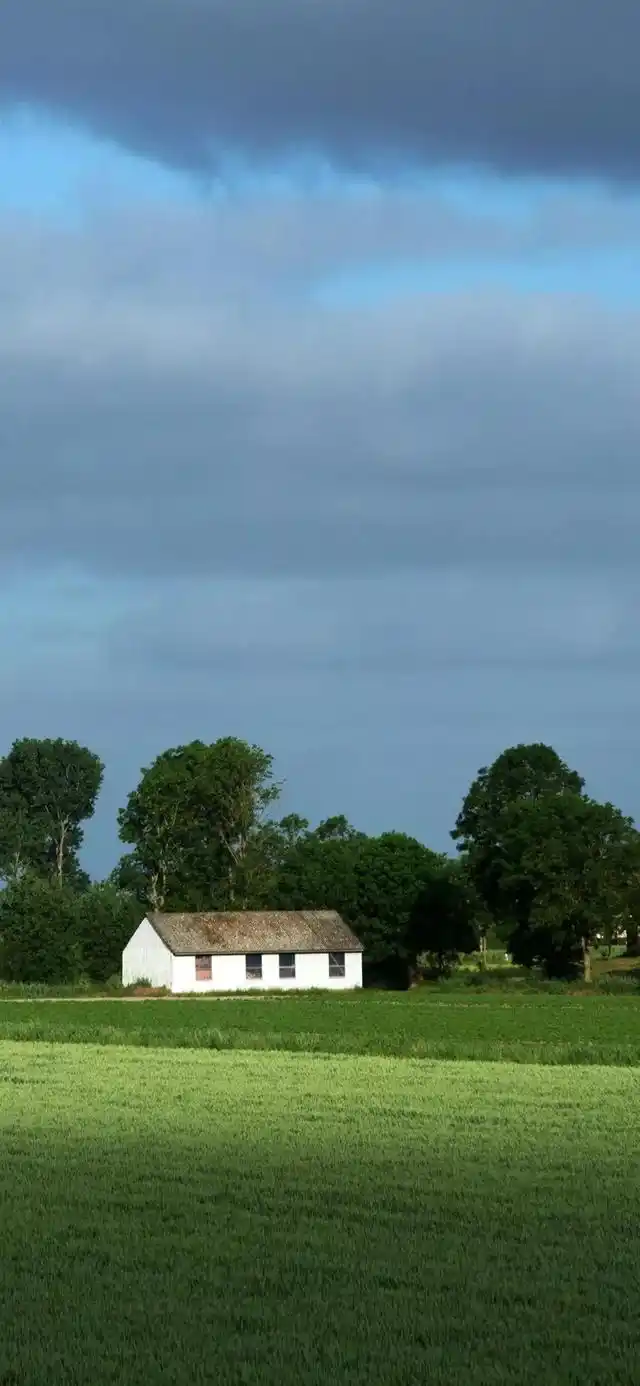 乡村田园风光全面屏手机壁纸